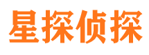 岭东市侦探调查公司